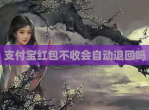支付宝<strong>红包</strong>不收会自动退回吗