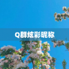 Q群炫彩昵称