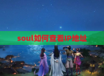 soul如何查看IP地址