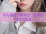 车车蓝奏合集地址：整理好的优质资源