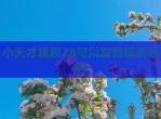 小天才旗舰Z8可以发微信消息吗