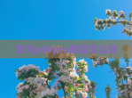 华为p60pro屏幕怎么样