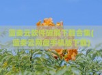 蓝奏云软件<strong>破解</strong>下载合集(蓝奏云网盘手机版下载)