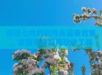 探寻七月的软件库蓝奏合集，发现更多实用软件工具