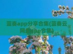 蓝奏app分享合集(蓝奏云网盘app合集)