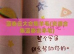 蓝奏云大合集羊毛(资源合集蓝奏云羊毛)