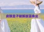 皮猴盒子<strong>破解</strong>版蓝奏云