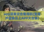 app蓝奏云合集导航(宝葫芦蓝奏云上APP大合集)