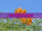轻颜相机在哪涂鸦