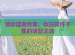 清秋蓝奏合集，秋日软件下载的明智之选