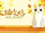 猫咪训练攻略小技巧教程