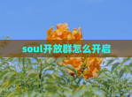 soul开放群怎么开启