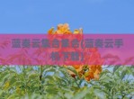 蓝奏云集合集合(蓝奏云手机下载)