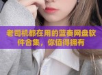 老司机都在用的蓝奏网盘软件合集，你值得拥有