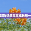 秀卓影(记录宝宝成长每一刻)