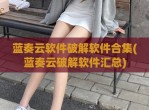 蓝奏云软件<strong>破解</strong>软件合集(蓝奏云<strong>破解</strong>软件汇总)
