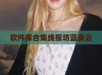 软件库合集线报坊蓝奏云