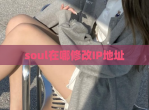 soul在哪<strong>修改</strong>IP地址