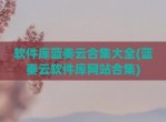 软件库蓝奏云合集大全(蓝奏云软件库网站合集)