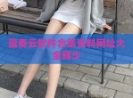 蓝奏云软件合集资料网址大全辉少