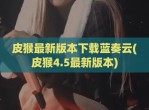 皮猴最新版本下载蓝奏云(皮猴4.5最新版本)