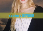 captura如何录屏