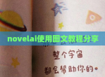 novelai使用图文教程分享