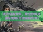 兜兜蓝奏合集，专业软件资源聚集地(兜兜<strong>破解</strong>软件)