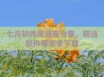 七月软件库蓝奏合集，精选软件等你来下载