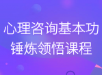 心理咨询基本功锤炼领悟