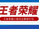 王者荣耀小棉花全教程打包