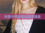 抖音小黄车怎么放不进去