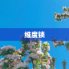 维度锁