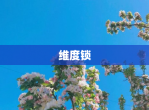 维度锁