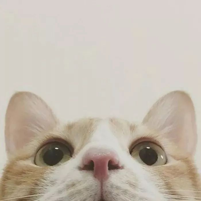 微信图片_20190916092333.jpg