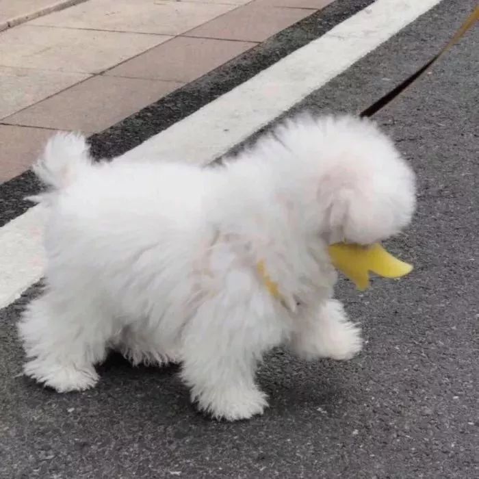 微信图片_20190916090827.jpg