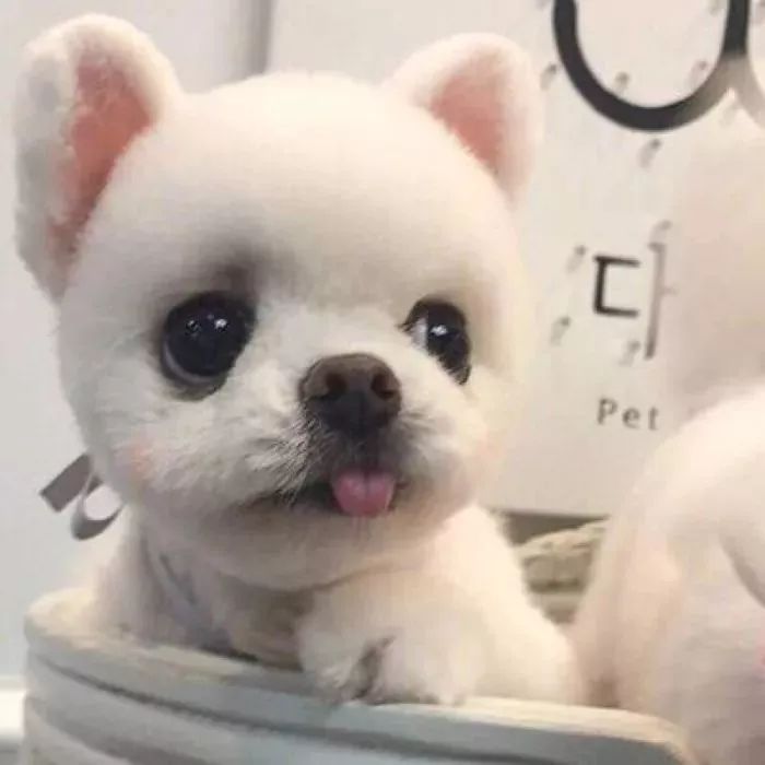 微信图片_20190916090940.jpg