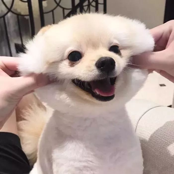 微信图片_20190912180115.jpg