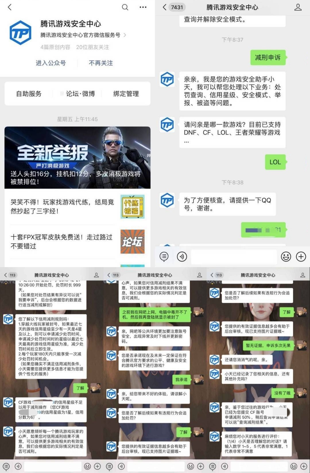-cb9b2f433d85bbb.jpg