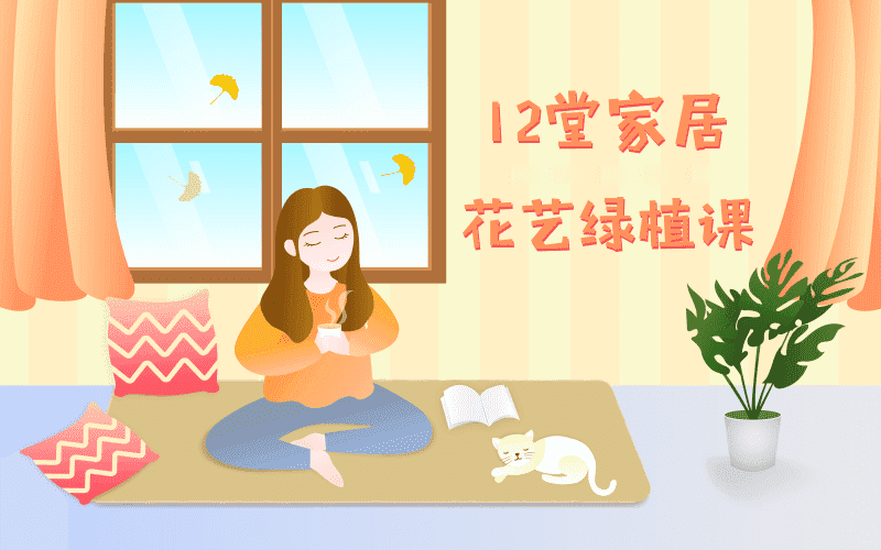 41fe871fd3f6987a.png