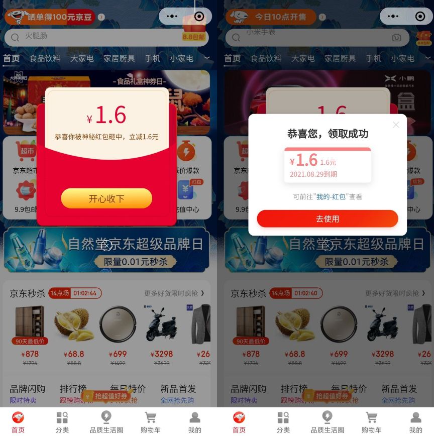 -407244ea2bb04dac.jpg