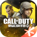 COD界面替换