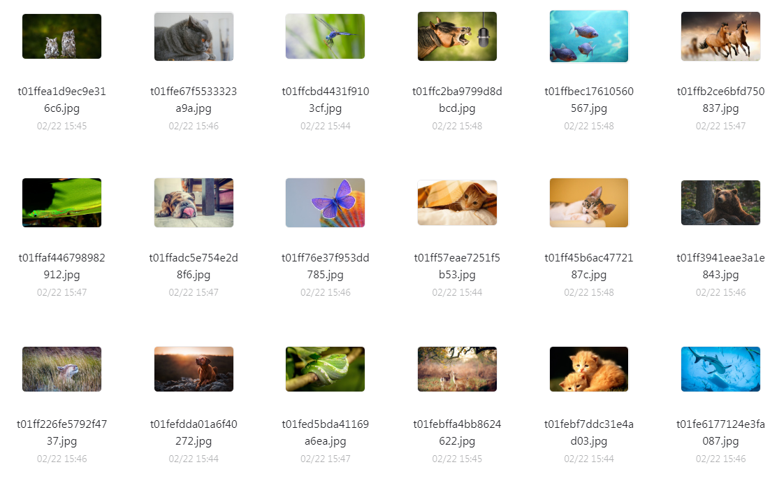 -3c56456f7fd1dc51.png