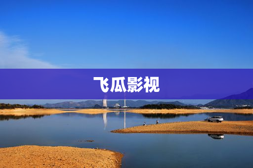 飞瓜影视