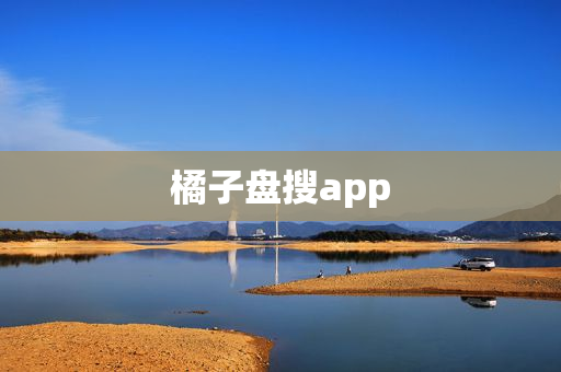 橘子盘搜app