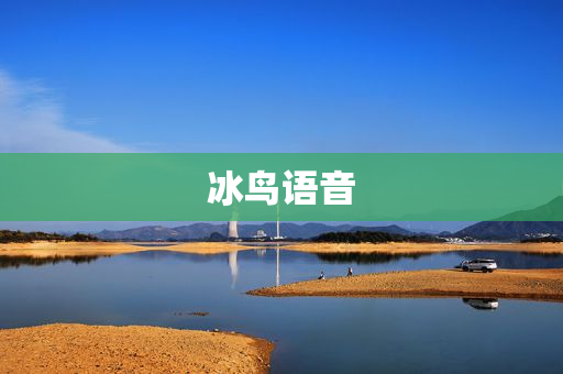 冰鸟语音