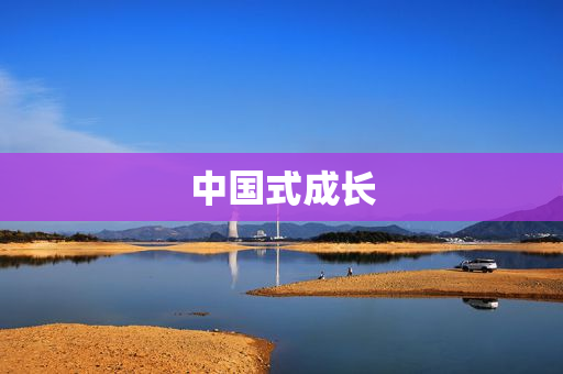 中国式成长