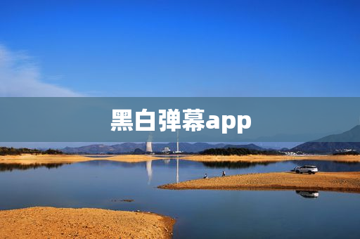 黑白弹幕app