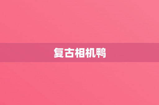 复古相机鸭
