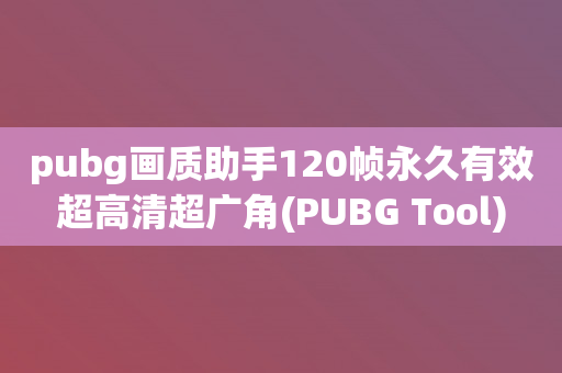 pubg画质助手120帧永久有效超高清超广角(PUBG Tool)